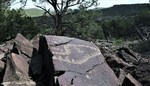 photo thumbnail #15