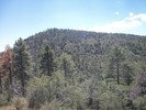photo thumbnail #7
