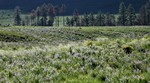 photo thumbnail #13