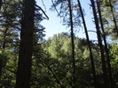 photo thumbnail #11