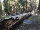 photo thumbnail #2