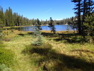 photo thumbnail #10