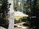 photo thumbnail #11
