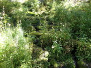 photo thumbnail #15
