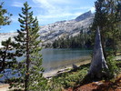 photo thumbnail #7