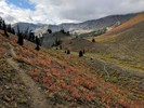 photo thumbnail #11