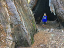 photo thumbnail #7