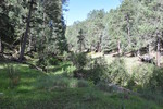photo thumbnail #8