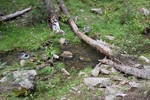 photo thumbnail #13