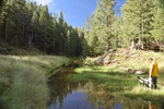 photo thumbnail #15