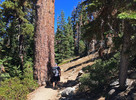 photo thumbnail #5