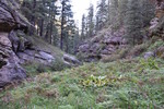 photo thumbnail #11