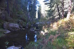 photo thumbnail #14