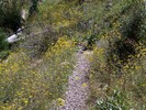 photo thumbnail #14
