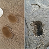 photo thumbnail #10