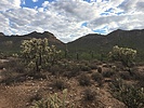 photo thumbnail #1