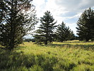 photo thumbnail #11