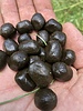 photo thumbnail #8