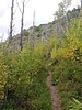 photo thumbnail #5