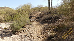 photo thumbnail #14