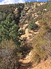 photo thumbnail #12