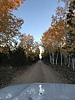 photo thumbnail #10