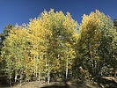 photo thumbnail #12