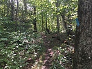 photo thumbnail #2