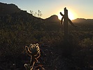 photo thumbnail #1
