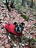 photo thumbnail #9