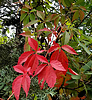 photo thumbnail #14