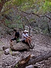 photo thumbnail #4