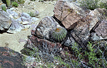 photo thumbnail #5