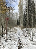 photo thumbnail #9