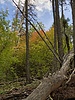 photo thumbnail #13