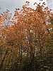 photo thumbnail #15