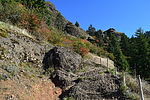 photo thumbnail #2