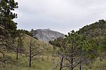 photo thumbnail #14