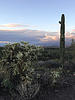 photo thumbnail #13