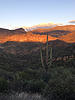 photo thumbnail #14