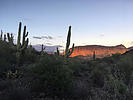 photo thumbnail #15