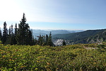 photo thumbnail #8