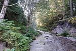 photo thumbnail #12