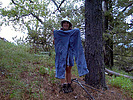 photo thumbnail #9
