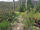 photo thumbnail #8