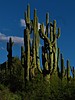 photo thumbnail #14