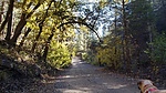 photo thumbnail #1