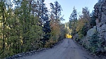 photo thumbnail #2