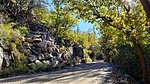 photo thumbnail #3
