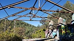 photo thumbnail #4